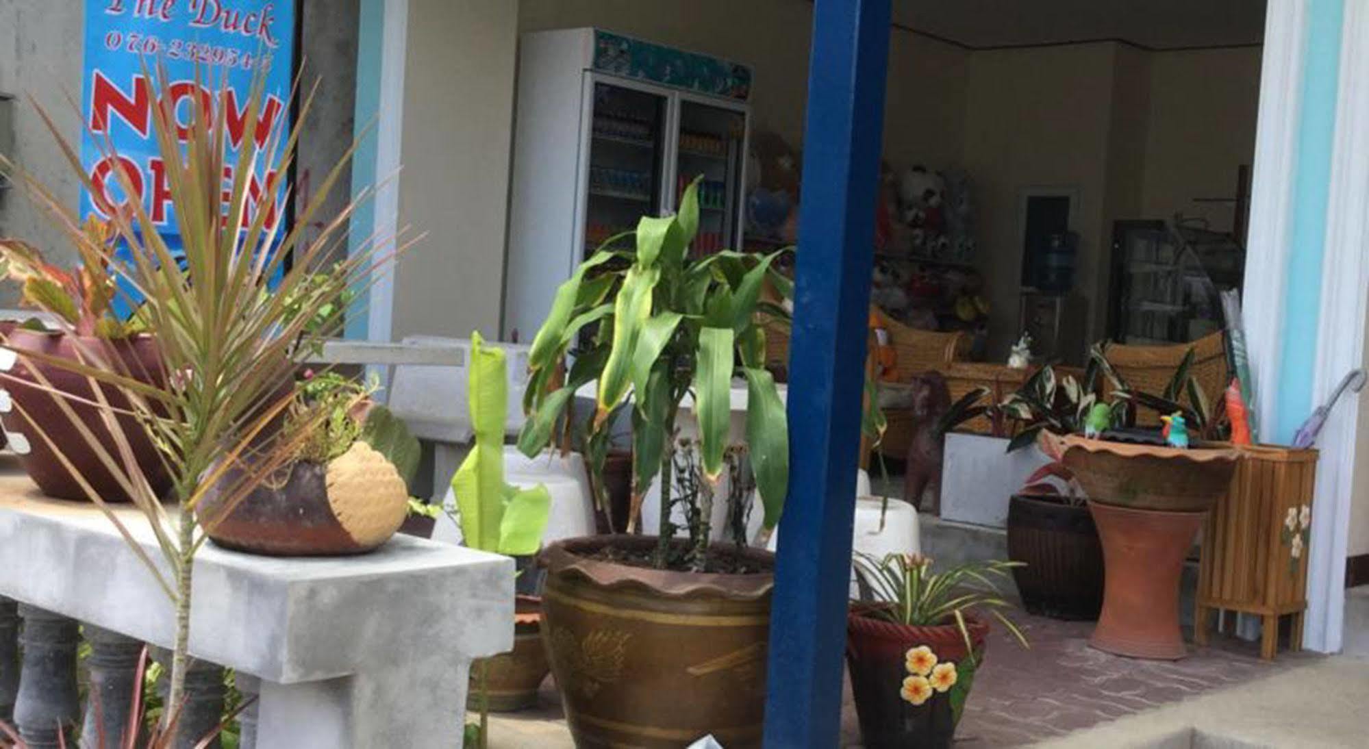 Hotel The Duck Phuket Exterior foto